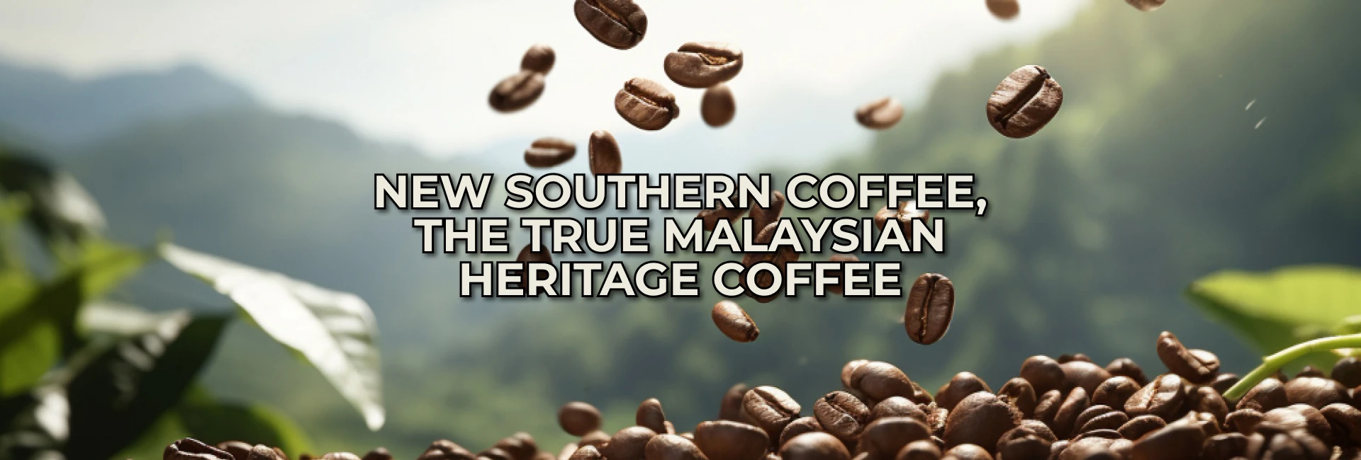 Wholesale Price Ground Coffee Pure Natural 100 Robusta Instant Black