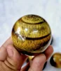 Marrón