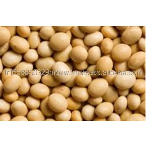 organic-soybean-500x500.jpg