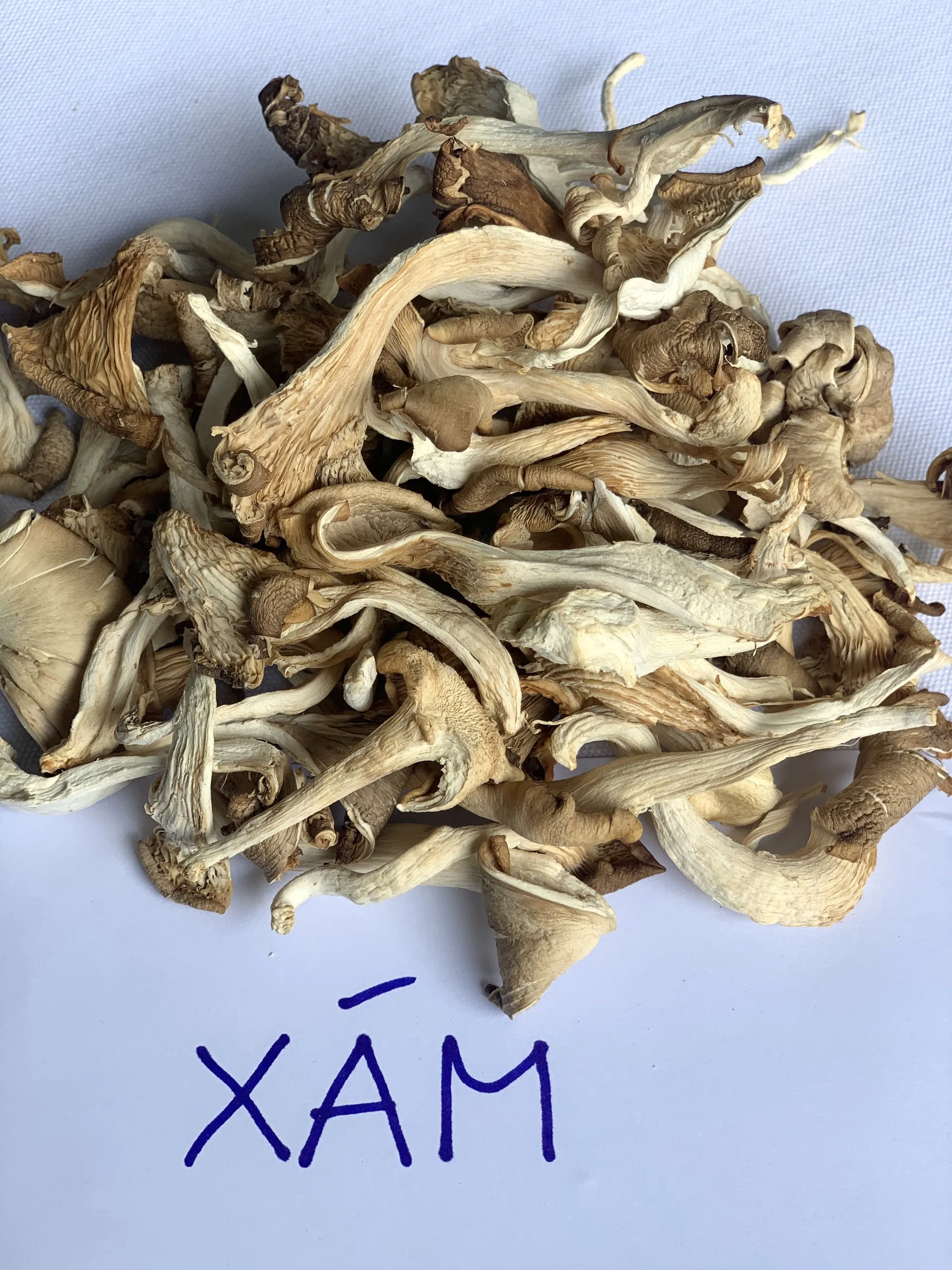 Wholesale Dried Oyster Mushroom With Competitive Price From Vietnam