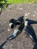 Natural horn