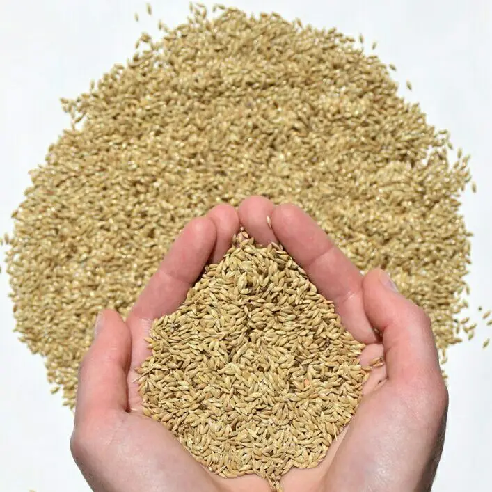 Canary Seed Animal (bird Feed) For Sale At Cheapest Wholesale Price In