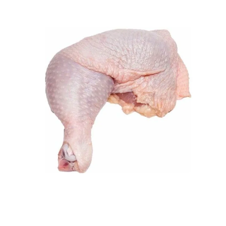 12 (1).png
