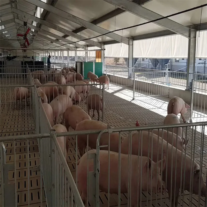 Приют для скота сарай молочных ферм сборные сараи разведения овечьих коз выращивания крупного рогатого