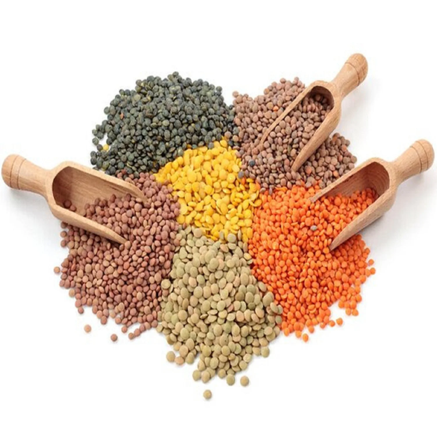 High Quality Bulk Dried whole split Lentils Red Lentils Green Lentils Cheap Price