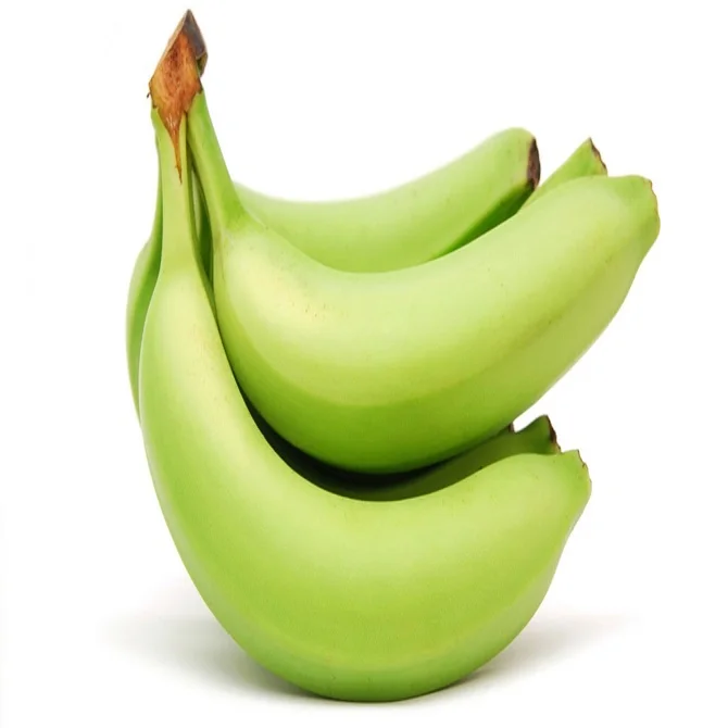 Image result for Banana for gut health in puppies