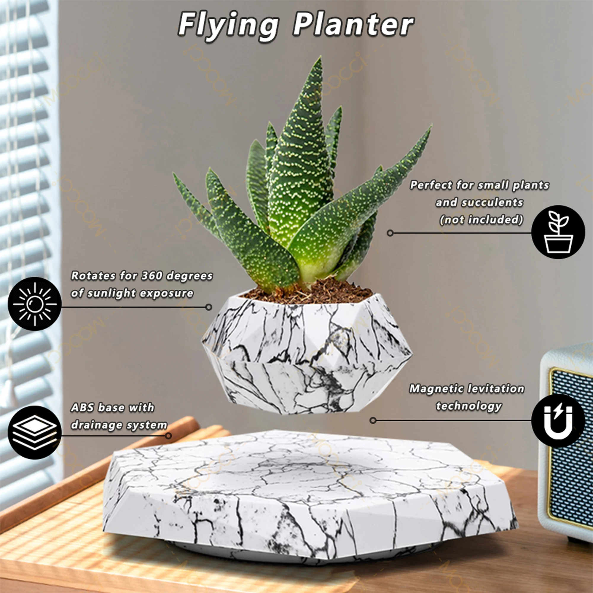 Flying Plant pot (3)