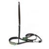 Parrot Green