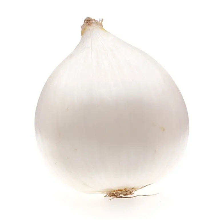 onionns.jpeg