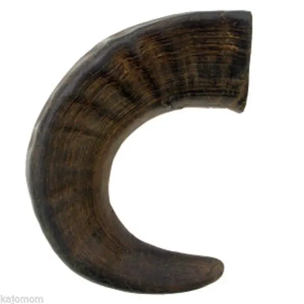 Best Premium Quality Water Buffalo Horn For Dog Chews Bully Stick For 