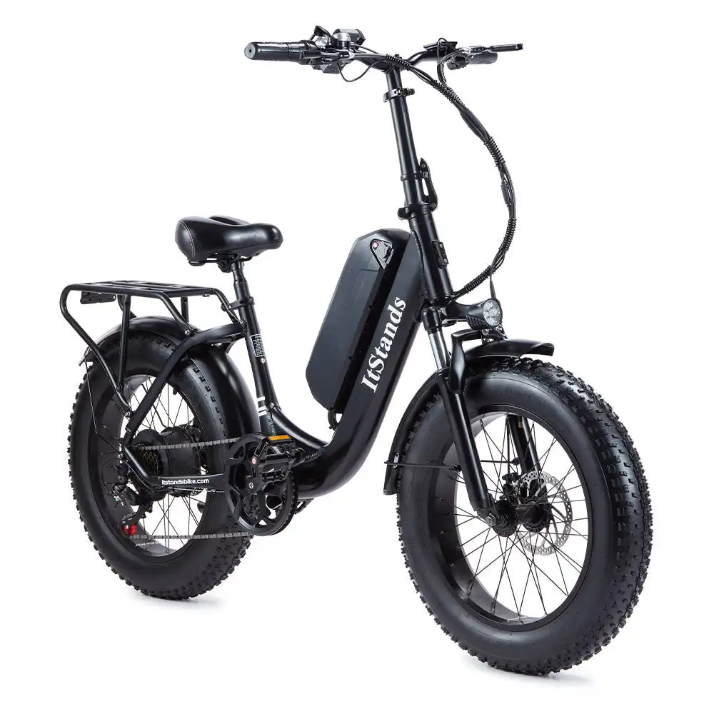 U1 Fat tire one piece Step-Through Design Ebike  800W 48V 15Ah  High-Performance Electric Bicycle