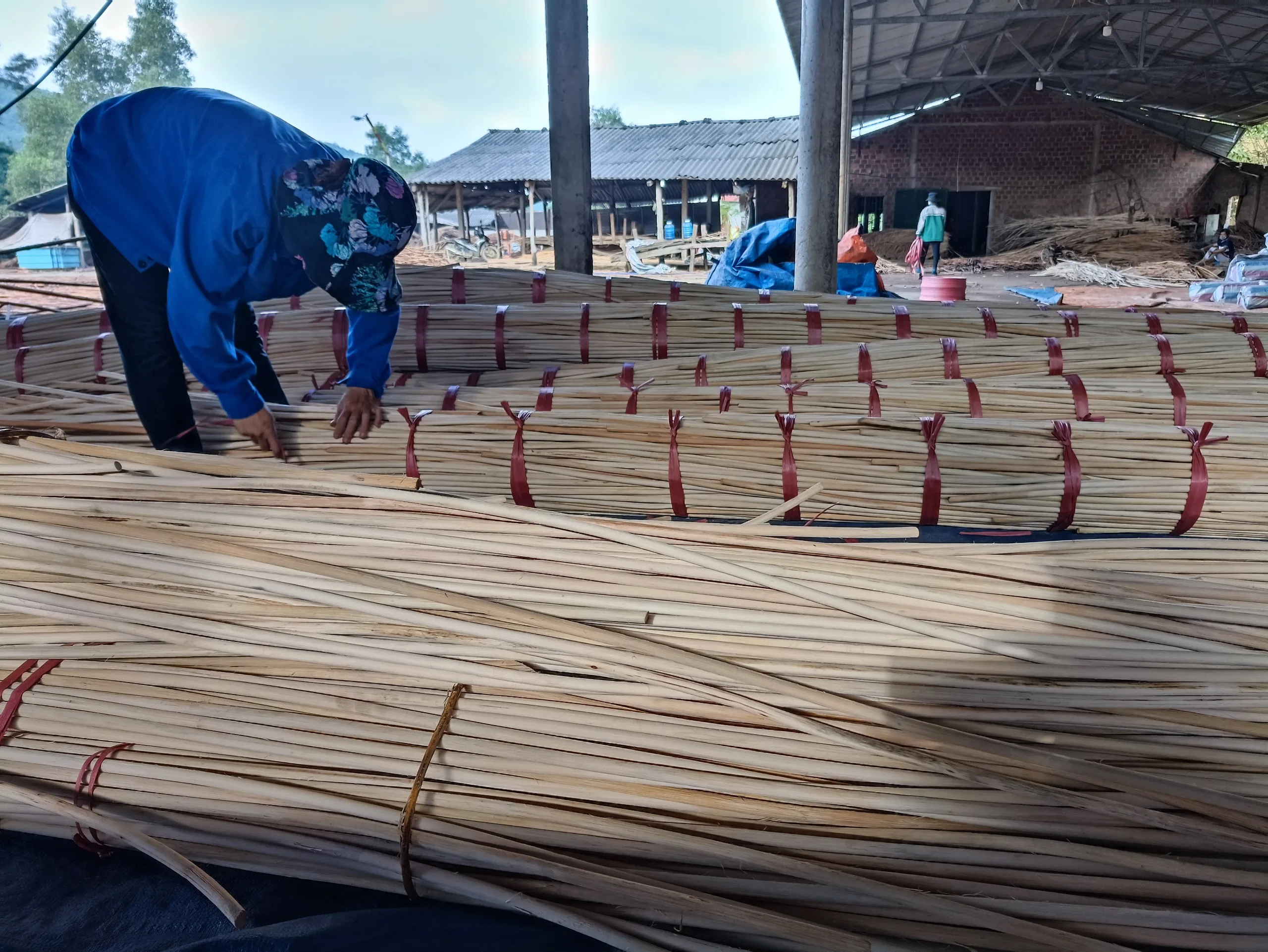 Best Selling Vietnam Rattan Core/ Rattan Core Materials Bleached-rattan ...