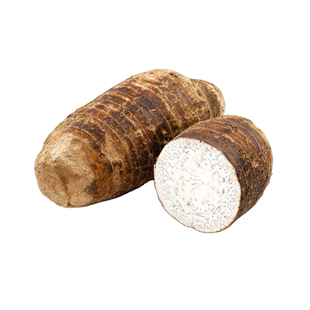 Fresh Taro For Export Natural Delicious Taro Good Quality Taro Supplier