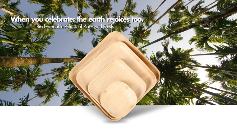 Palm Leaf Plates 4 Compartment Areca Nut Biodegradable Palm Leaf Plates