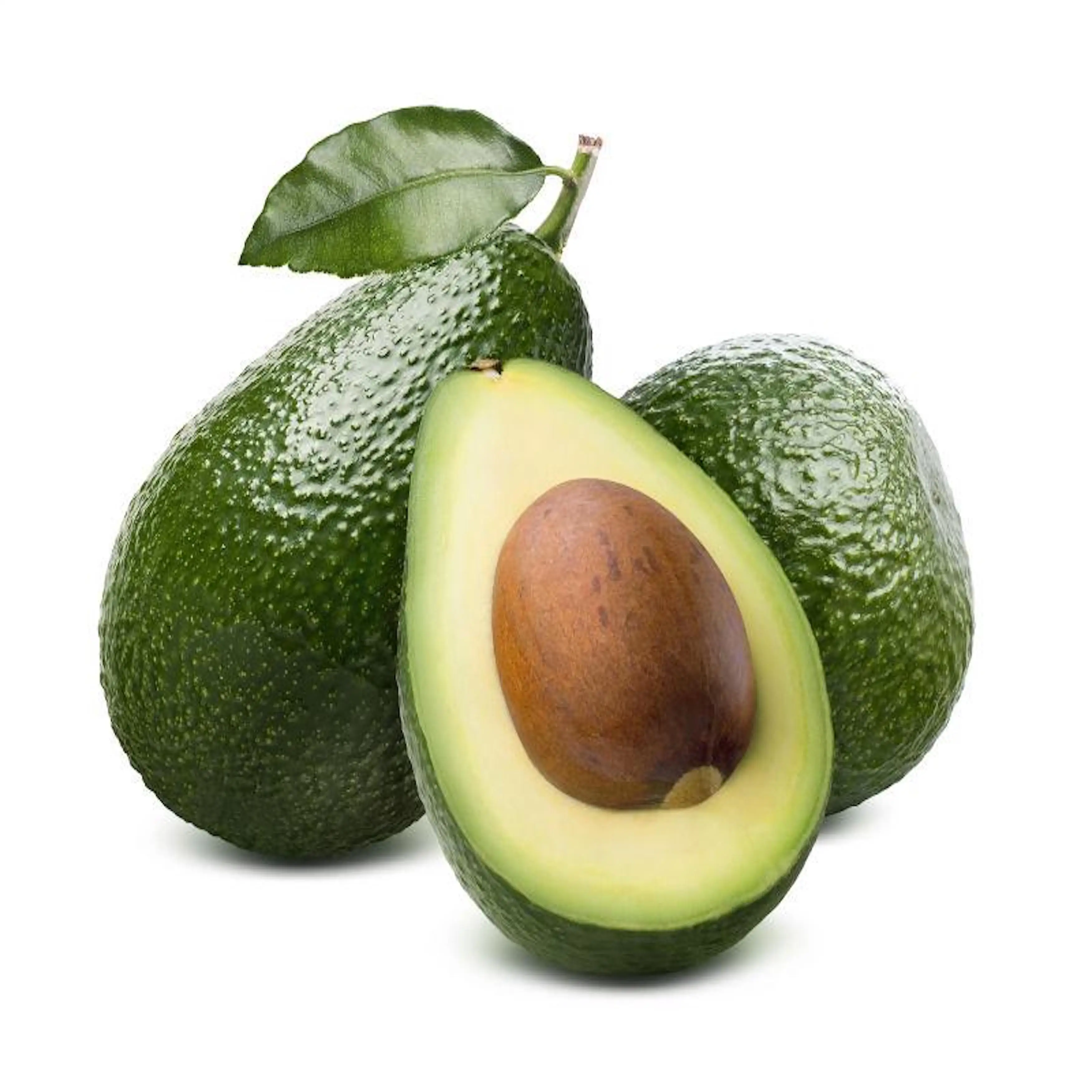 Quality Fresh  Avocado .jpg