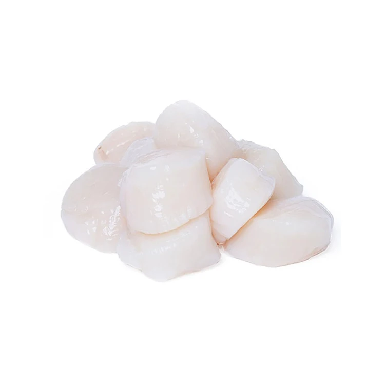Seafood Snacks Scallop Meat Shellfish Without Shell Frozen Scallop Meat ...