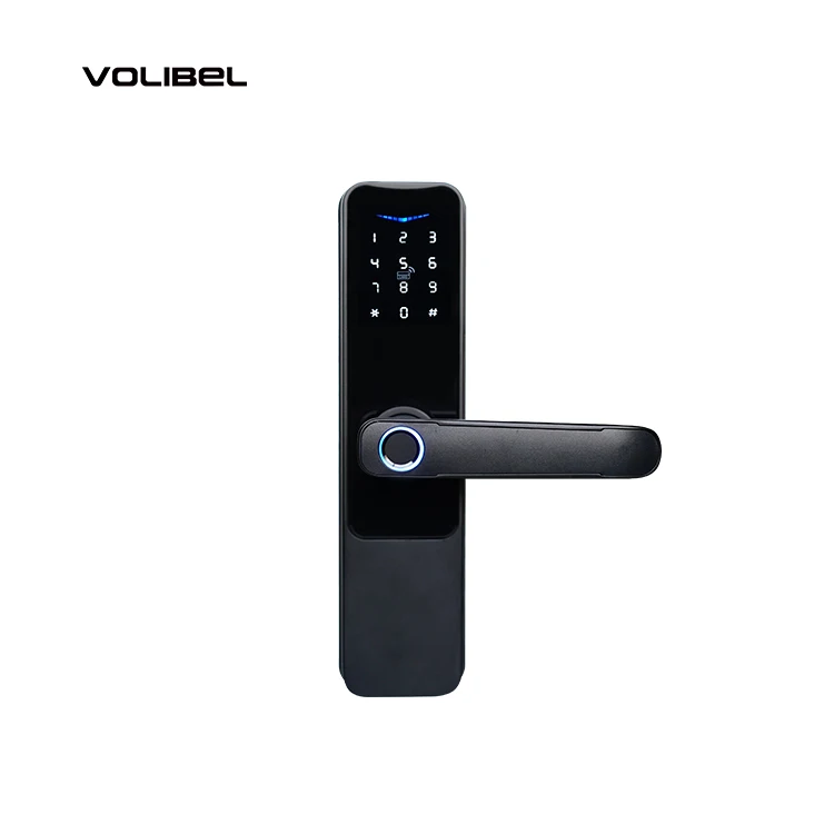 Smart Door Lock Keyless Entry Door Lock Keypad Door Lock with Handle, Fingerprint Door Lock with Tuya APP WiFi Control