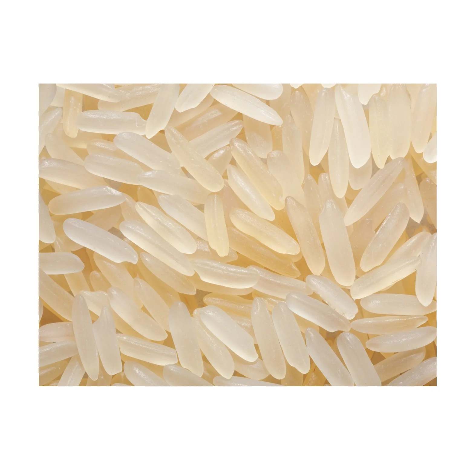 Large Quantity Rice Best Factory Price of New Crop 5% Broken Parboiled Rice Available In ...