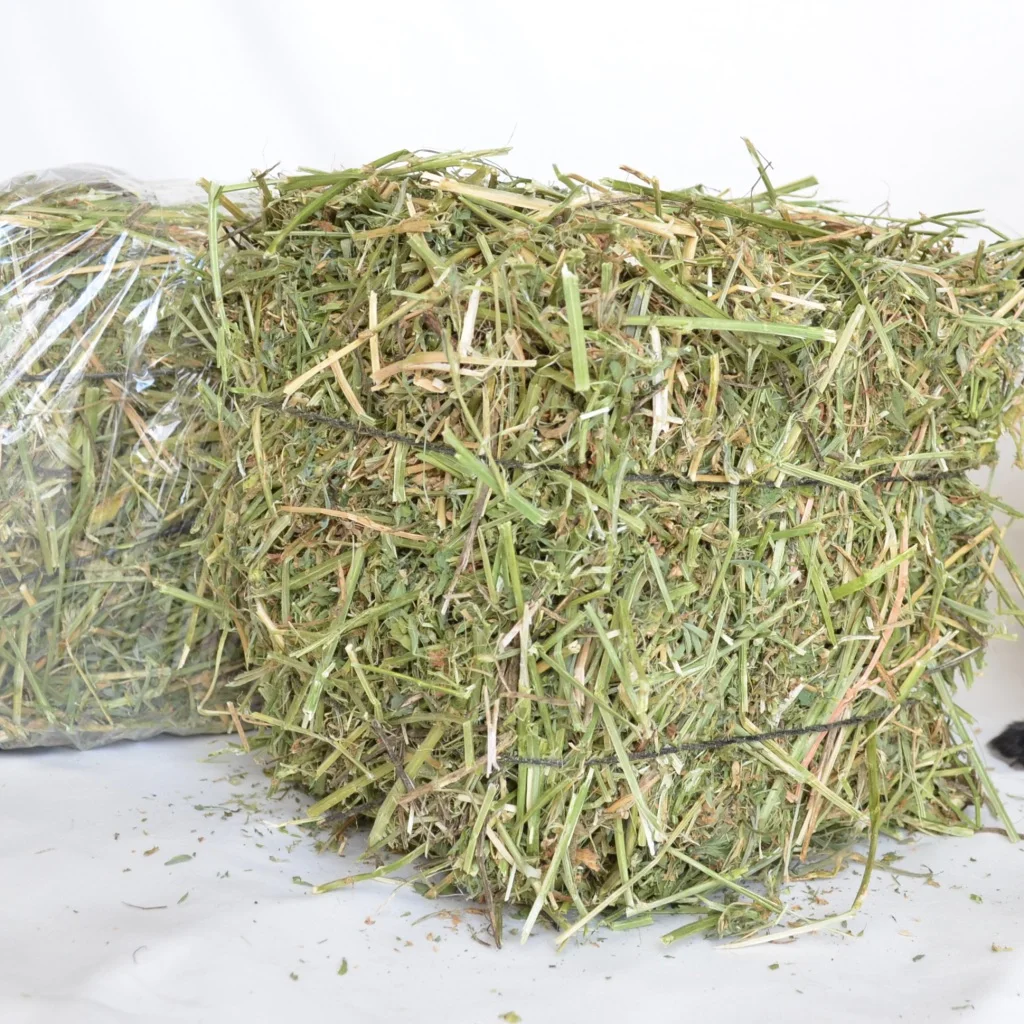 Alfalfa Pellets For Horses/feed Grade Top Quality Alfalfa Hay Buy
