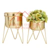Antique Gold