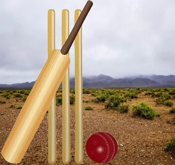 Hot Selling Customizable Wooden Cricket Wickets Set Custom Logo Spring ...