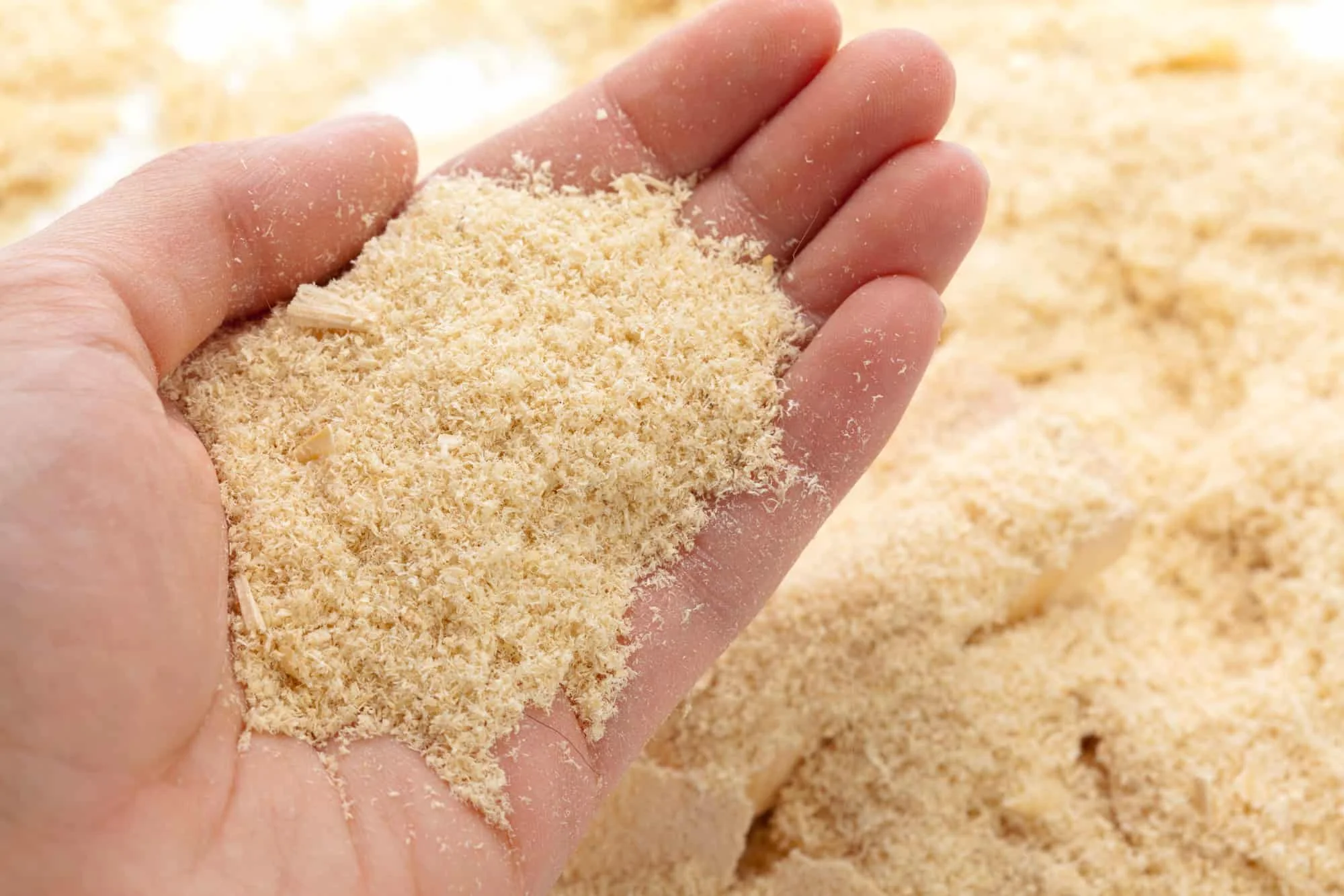 Cheap 100 Wood Shavings,Wood Sawdust For Sale Buy Best Quality Hot