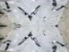 Same as in image
