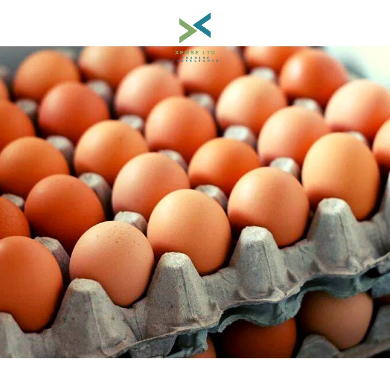 Купить яйца в геншине. Яйцо куриное. Яйцо домашнее куриное. Яйцо (пищевой продукт). Решетка для яиц.