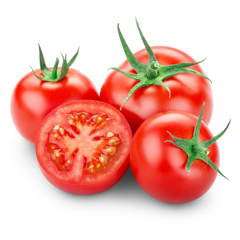 Fresh Tomato with Good Price