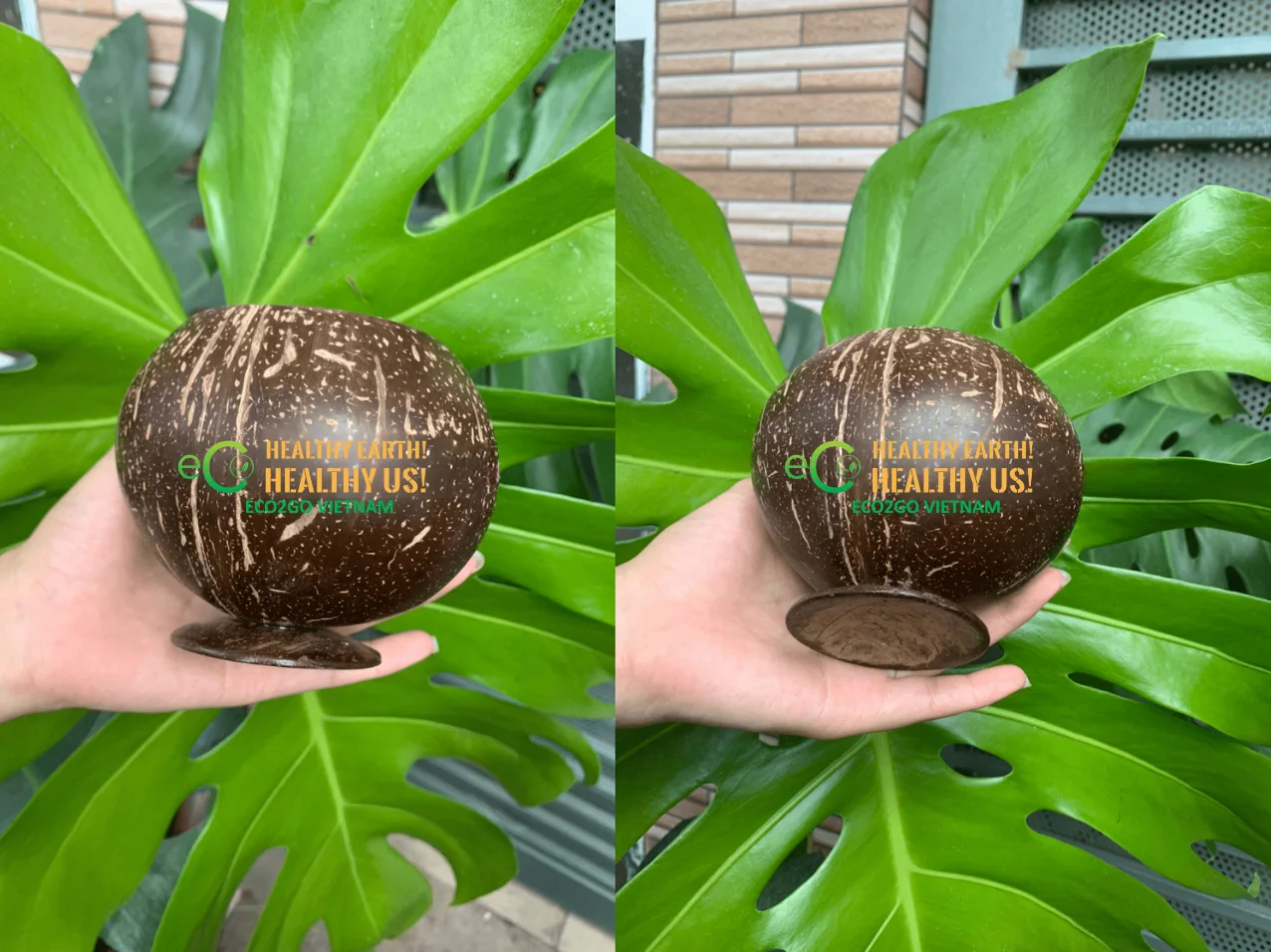 Eco2go Coconut Cups - Natural High Quality Drinkware