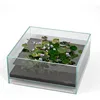 Glass Air tank