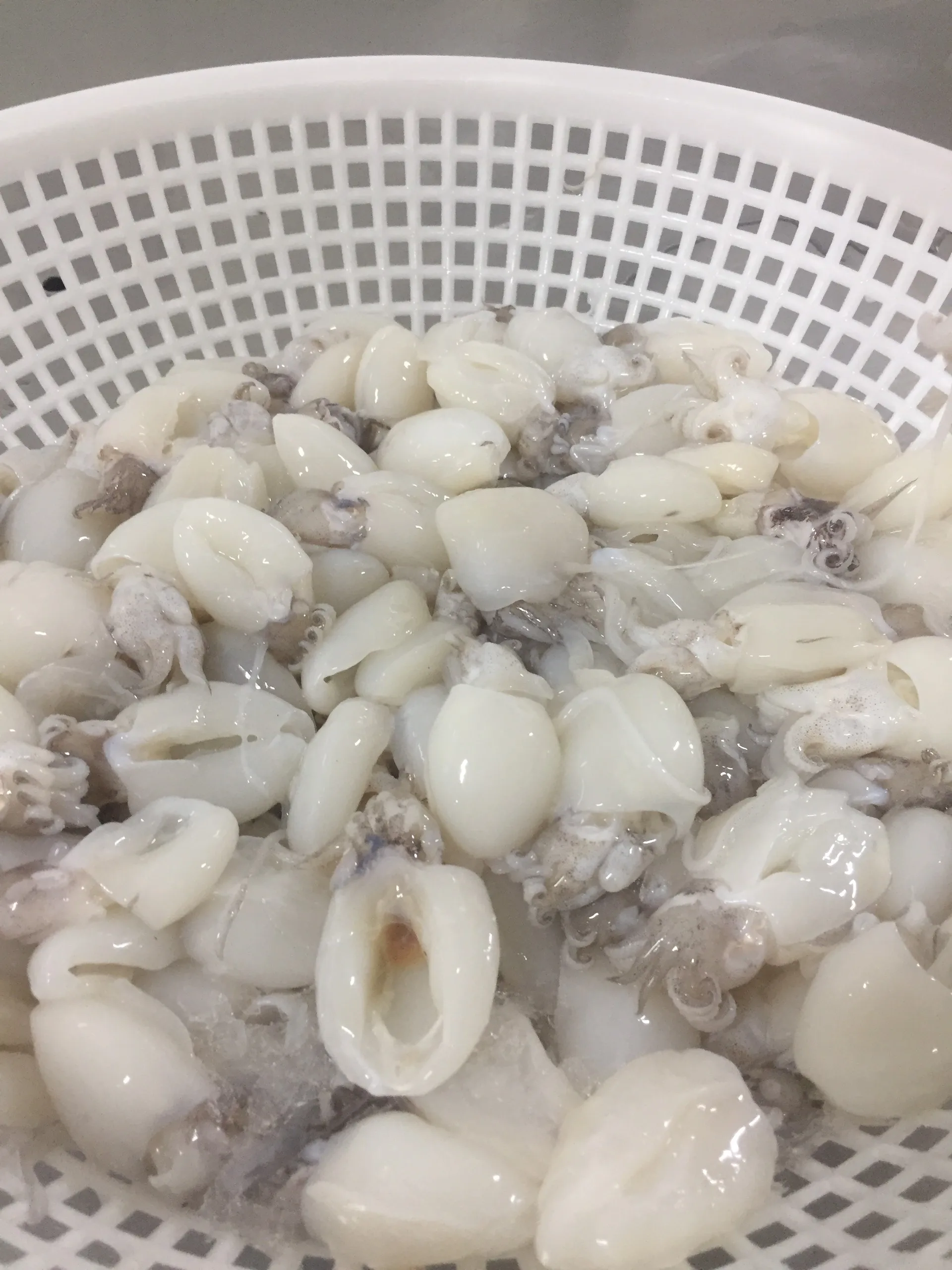 Вакуумная упаковка для замороженных морепродуктов самые продаваемые продукты IQF питательные приготовление каракатиц + 84792840198