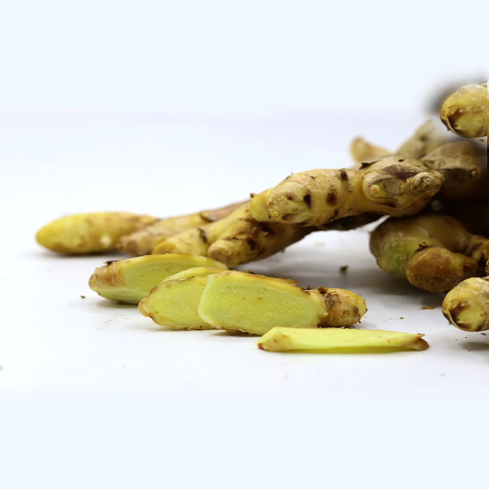 Fresh Ginger High Quality Vietnamese Dried Ginger For Export / Cheap