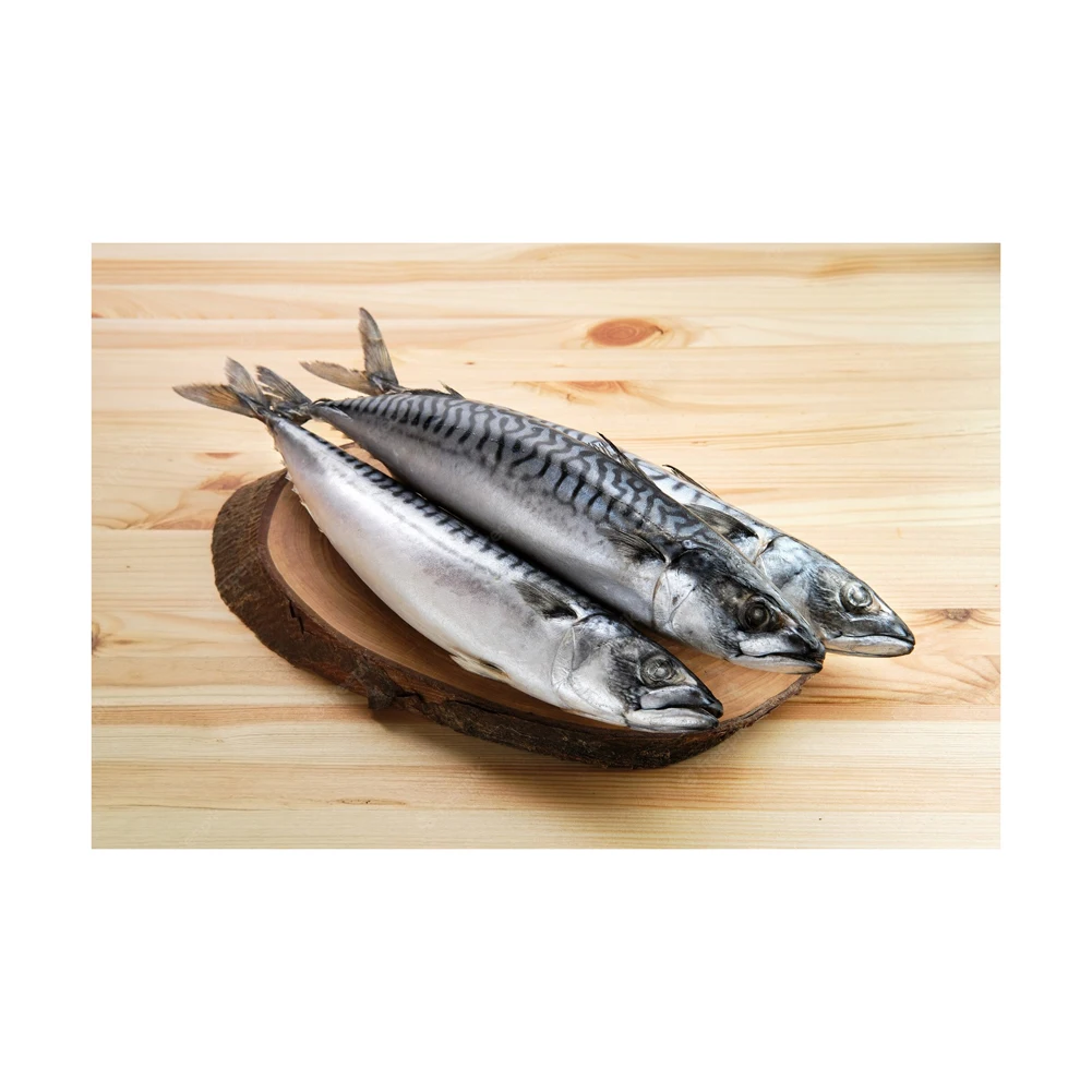 Frozen Horse Mackerel Fish Seafood Horse Mackerel Fish Big Eye
