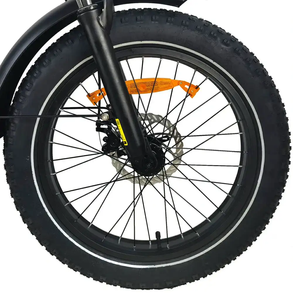 BAOLUJIE DZ-2030 20 vélo de ville électrique à enjambement bas 500W Moteur 48V 13Ah Batterie