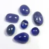 Bio