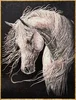 horse