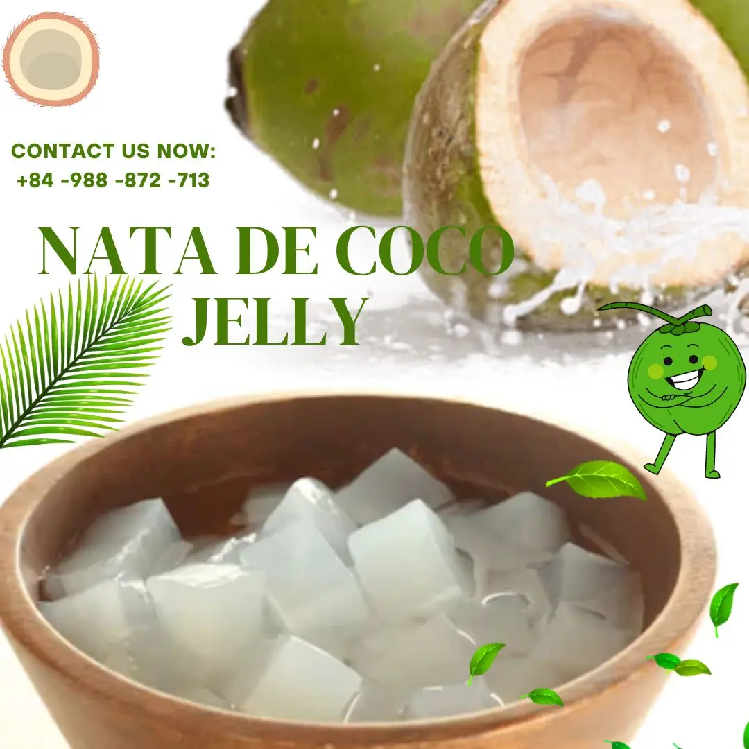 The Most Amazing Nata De Coco/coconut Jelly From Vietnam Wholesaler ...