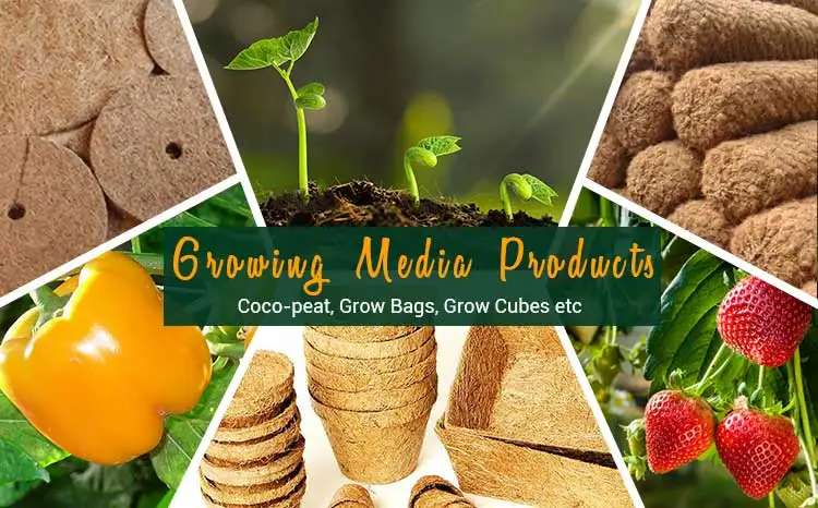 Machine Twisted Fiber Made From Natural Coconut Coir Used for Car Seats in Automobile Industry for Rubberized Coir Mattress