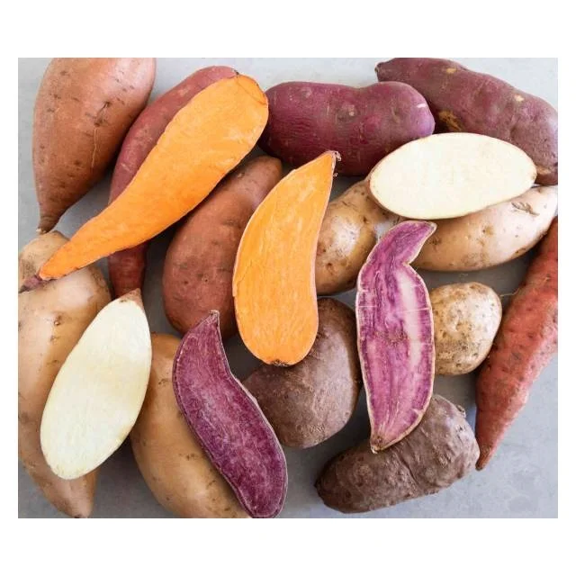 Hot Sale Sweet Potato/purple Yam - Wholesale Fresh / Frozen / Starch ...