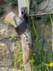 Natural Horn