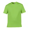 perroquet