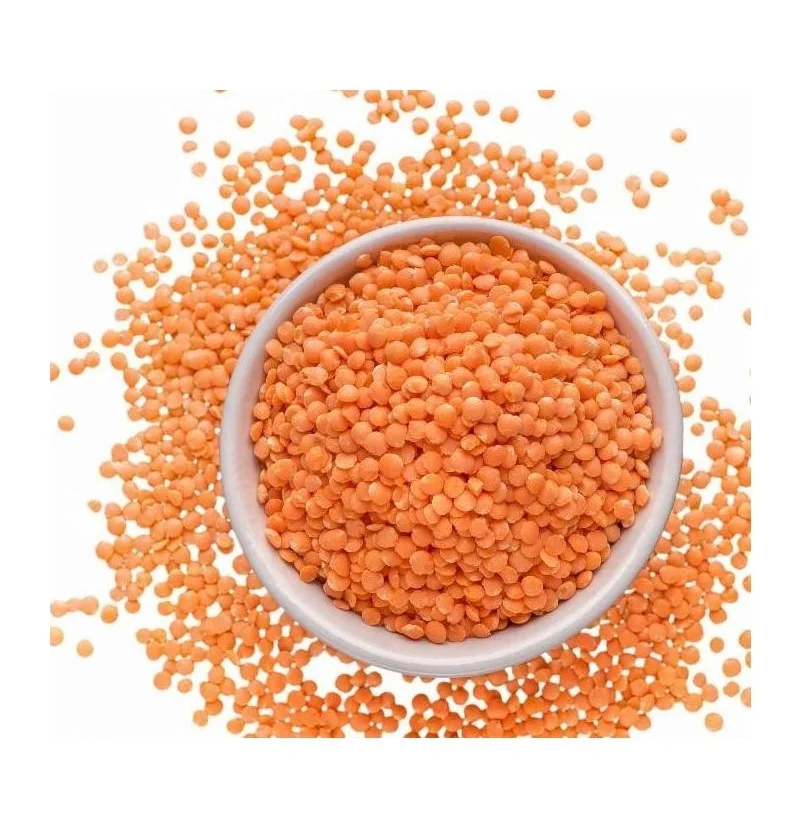 High Quality Organic Canadian Red Lentils / Split Red Lentils Available