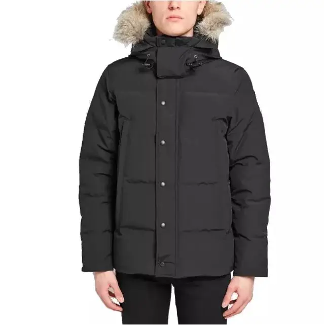 Custom Logo Polyester Down Puffer  Feather Jacket Mens Casual Zipper up Duck Down Jacket Cheap Price Mens Coat for Winter