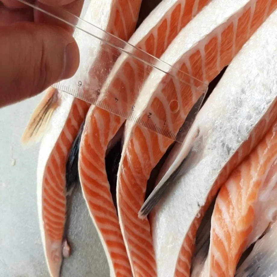 Frozen Atlantic Salmon Fish for Sale / Wholesale Price Quality Frozen Salmon Colar