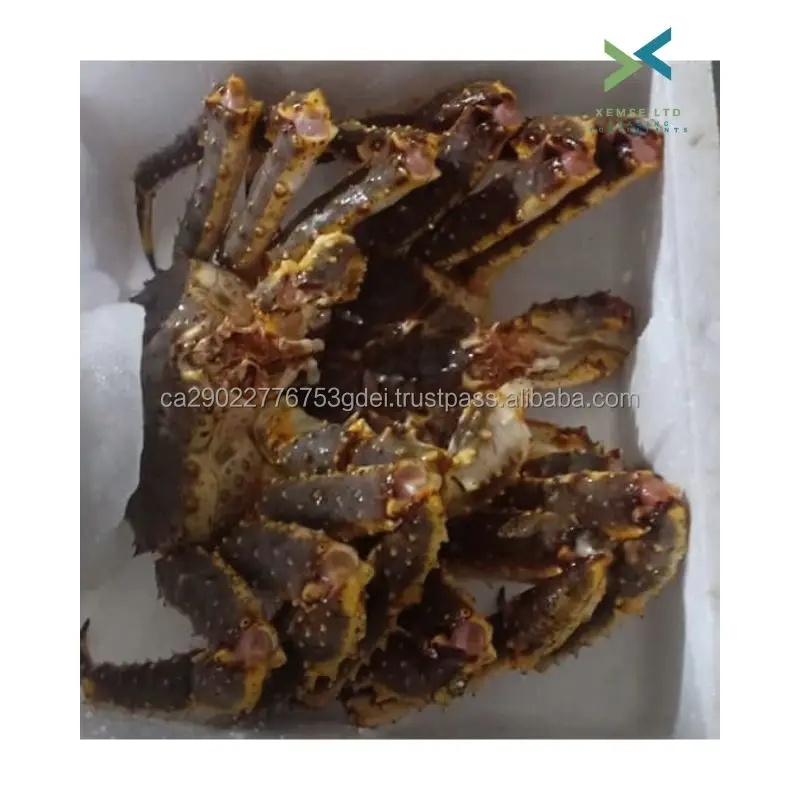 Wholesale Sea Food Mix/frozen Snow Crab Canada Supplier Buy Crab Legs