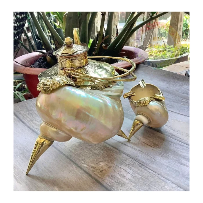 Mother of Pearl Teapot and Shell Cup Set Handmade Nautical-Themed Tea Set for Resorts and Home Decor