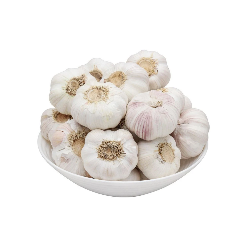 High Quality Market peeled garlic price/fresh snow white garlic/fresh garlic normal white pure white