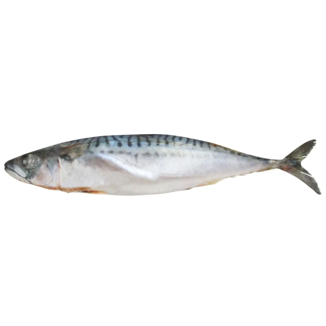 Frozen Fish Whole Round Frozen Horse Mackerel Price Bqf 15kg/ctn Frozen ...