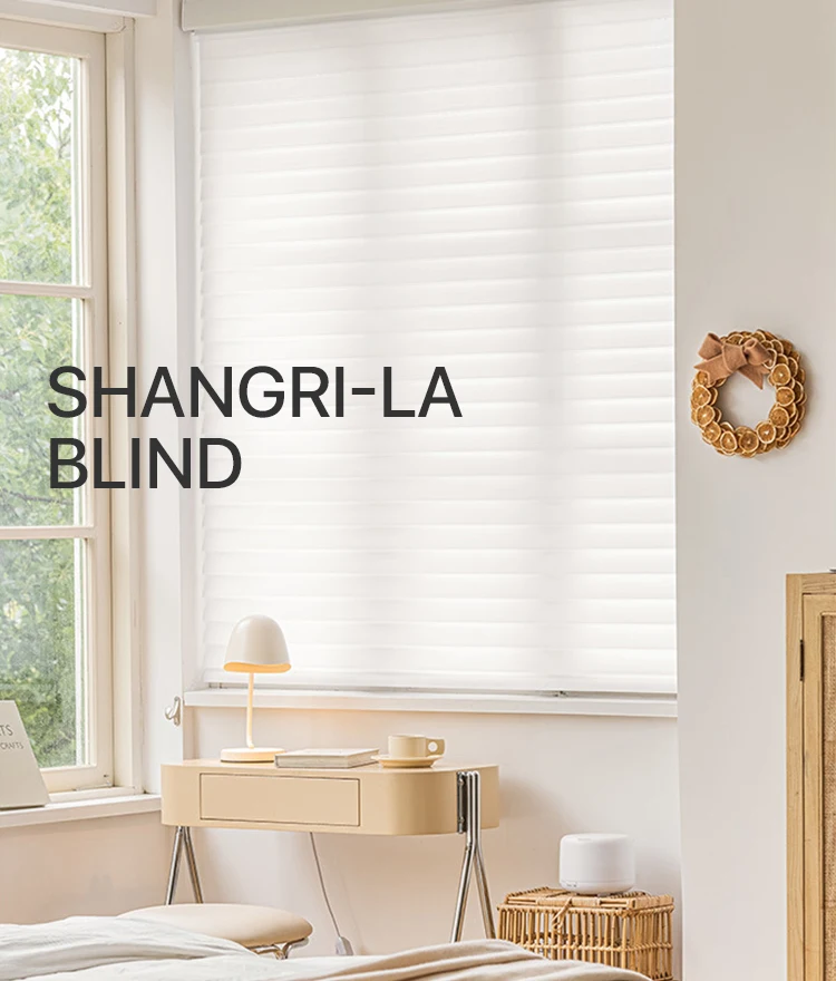 White Blackout Shangri-la Blinds Fabric shade Shangri-la Window roller ...